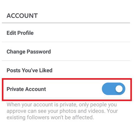 ig private account viewer